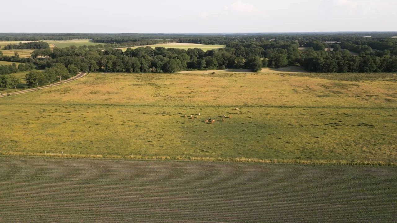 Arsada Yeni Gözde Bölgeler: “Yeni İstanbul” Denilen 3 İl